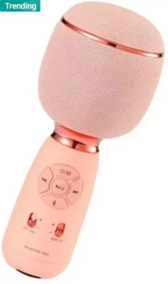 Stybits M289 WS 1885 Karaoke Heavy Bass Premium Quality Wireless Mic with Voice Changer Microphone