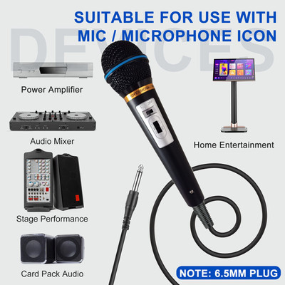 BALRAMA EASTAR 101 XLR Unidirectional Dynamic Microphone for Karaoke, Recording, Singing Microphone