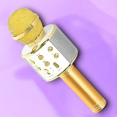 Stybits J509 K9_ Pro Voice recording Microphone Dual mic BLACK (pack of 1) Microphone