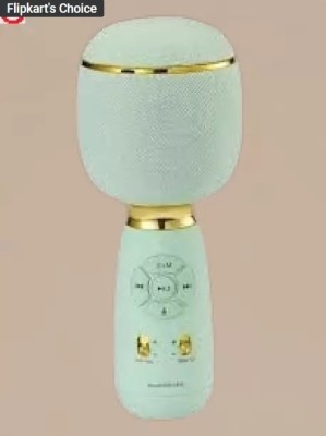 Bashaam M317 WS 1885 Karaoke Heavy Bass Premium Quality Wireless Mic with Voice Changer Microphone