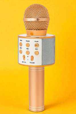 Ziddjeet X458 All-in-One Mic with Volume, Echo & Remix Controls Microphone