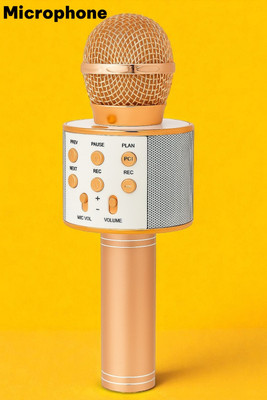 Shamsa X48 All-in-One Mic with Volume, Echo & Remix Controls Microphone