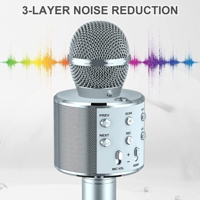 Acesquare HandHeld Wireless Microphone HiFi Speaker with Inbuilt Speakers & Bluetooth Microphone