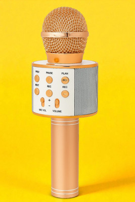 Sagaft X484 3-in-1 Bluetooth Mic with Music Playback & Echo Control Microphone