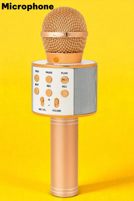 Sagaft X19 Portable Karaoke System with Wireless Microphone Microphone