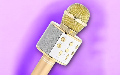 Stybits X423 KARAOKE MIC WITH SPEAKER-FM Radio Voice Changer Rechargeable Microphone Microphone