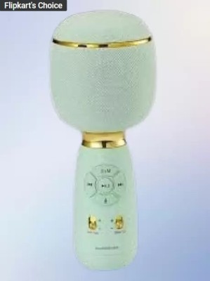 BAYEEN M747 WS 1885 Karaoke Heavy Bass Premium Quality Wireless Mic with Voice Changer Microphone