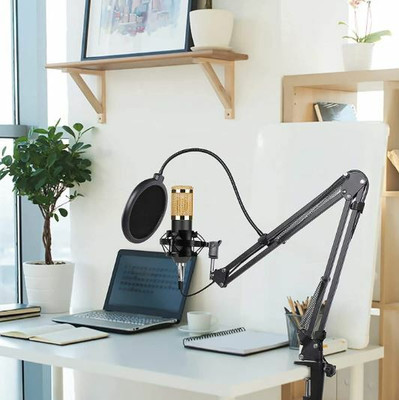 TECHGEAR BM-800 Mic Kit Condenser Microphone with Adjustable Mic Suspension Scissor Arm Microphone