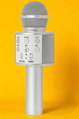 Stybits X530 Wireless Karaoke Microphone for Kids & Adults – Bluetooth Mic with Echo Microphone