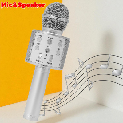 Sagaft X1250 All-in-One Wireless Karaoke Mic with Echo Control Microphone