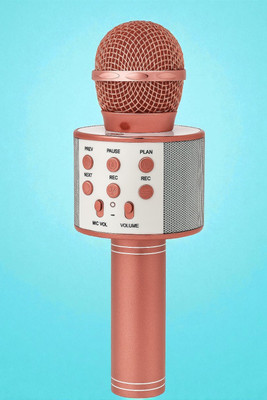 Sagaft X304 3-in-1 Bluetooth Mic with Music Playback & Echo Control Microphone