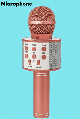 Nilesawar X168 All-in-One Mic with Volume, Echo & Remix Controls Microphone