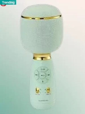 Sagaft M165 WS 1885 Karaoke Heavy Bass Premium Quality Wireless Mic with Voice Changer Microphone