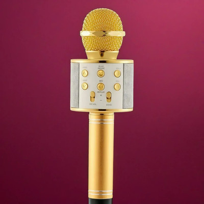 Stybits X127 Wireless Karaoke WS 858 Recording Condenser Handhel Microphone