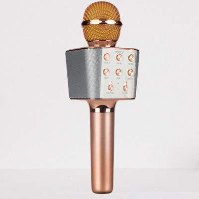 Acesquare Wireless Mike Bluetooth Mic With Recording | USB | FM Ideal For Parties Speakers Microphone