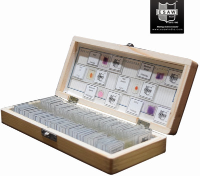 ESAW PREPARED SLIDE BOX OF 50 SLIDES Microscope Slide Box
