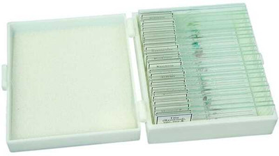 Labgenius Biological Permanent Prepared Microscope Slides – Set of 25 Microscope Slide Box