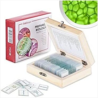 EMEDI LT-26 Microscope Plain Slide 75 mm x 25 mm Microscope Slide Box