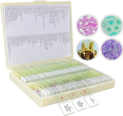 Labgenius Lab100 Microscope Slide Box