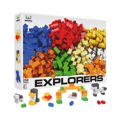 Webby ABS Building Blocks Construction Set Activity Toys for Kids, 250 Pieces(Multicolor)