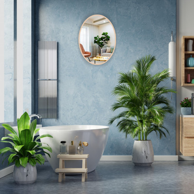 Hitech Sales 021k1l Decorative Mirror(Oval Finish : Polished)