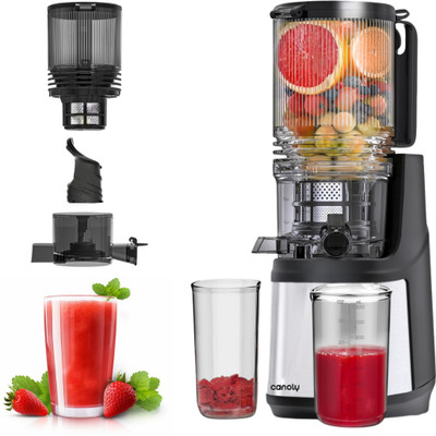 Canoly Cold Press Slow Juicer, Slow Masticating Juicer Machine, Easy to Clean 350 W Juicer(CNLY-CPJ-JE37B | 2 Jars | Classic Silver)