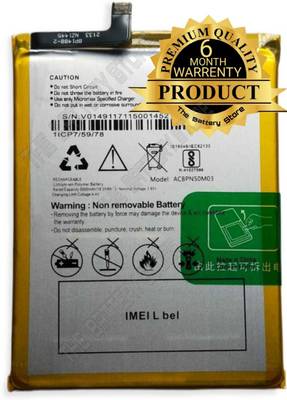 THE BATTERY STORE Mobile Battery For  Micromax Bharat 5 Infinity Edition Q4204 ACBPN50M03 Original Battery ACBPN50M03 with 3 Month Warranty and High Capacity Backup