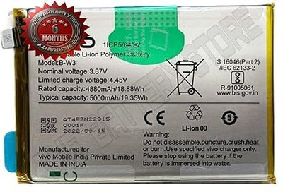 THE BATTERY STORE Mobile Battery For  Vivo Battery for Vivo Y22 Y22S with 6 Month Warranty