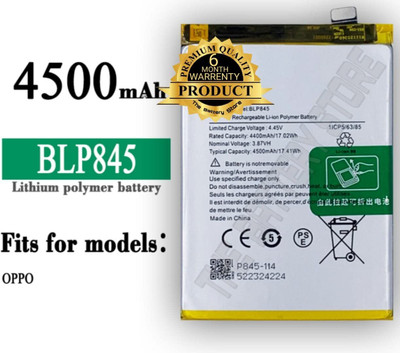 THE BATTERY STORE Mobile Battery For  Oneplus BLP845 Battery for Oneplus Nord CE 5G EB2101 EB2103 with 6 Month Warranty