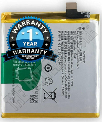 THE BATTERY STORE Mobile Battery For  Vivo Battery B-H1 for Vivo V17 Pro/Vivo B-H1 Battery with 1 year Warranty