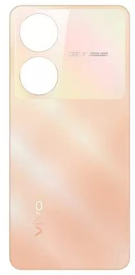 Sandreezz Vivo Y100 (5G) (Glass Matte) (Best Quality) (with Proper Logo) Back Panel(Twilight Gold)