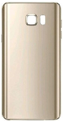 AceKing Samsung Galaxy Note 5 Back Panel(Gold)