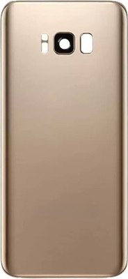 Shkiyo Samsung Galaxy S8 Back Panel(gold)