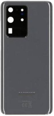 AceKing Samsung Galaxy S20 Ultra with Lens Back Panel(Grey)