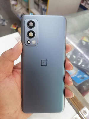 FLOUNDER ONEPLUS NORD 2 5G (GLASS) Back Panel(Gray Sierra)