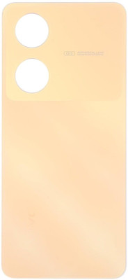 FixHub VIVO Y100 BACK GLASS COMPATIBLE Back Panel(gold)