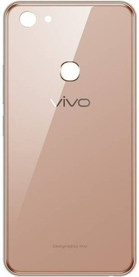 SRaccessories Vivo Y83 Back Panel(Gold)