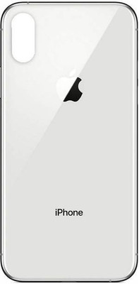 SRaccessories Apple iPhone XS (Glass) Back Panel(Silver)