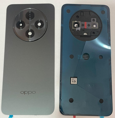 SPAREWARE Oppo Oppo F29 Pro 5G Back Panel(Black)