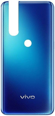 SRaccessories Vivo V15 Back Panel(Blue)