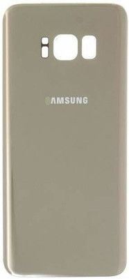 SRaccessories Samsung Galaxy S8 Plus Back Panel(Maple Gold)