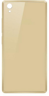 imbi Infinix Hot 2 (X510) Mobile Phone Panel Replacement Back Body Back Panel(Gold)