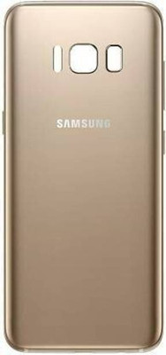 SRaccessories Samsung Galaxy S8 Back Panel(Gold)