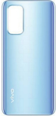 BrewingQ Vivo Vivo V19(Glass) Back Panel(Mystic Silver)