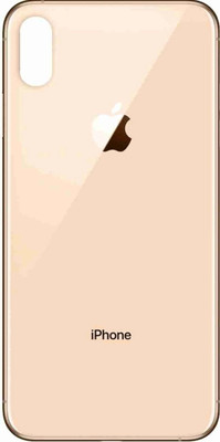 Emrse iPhone XS Back Panel(Gold)