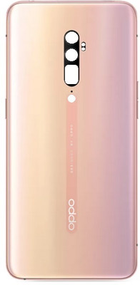 FLOUNDER OPPO RENO 10X ZOOM WITH PROPER LOGO Back Panel(PINK)