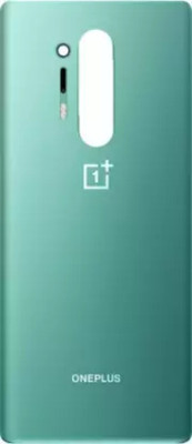SRaccessories OnePlus 8 Pro Back Panel(Glacial Green)