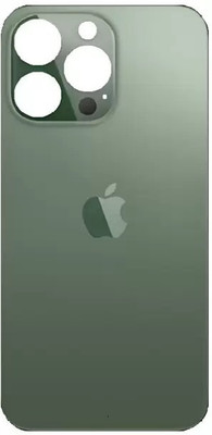 Hynaty APPLE IPHONE 13 PRO MAX (GREEN) Back Panel(GREEN)