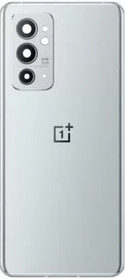 Trandster OnePlus OnePlus 9RT(Glass) Back Panel(Nano Silver)