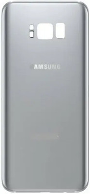 SPAREASP SAMSUNG Samsung Galaxy S8 Plus Back Panel(Silver)